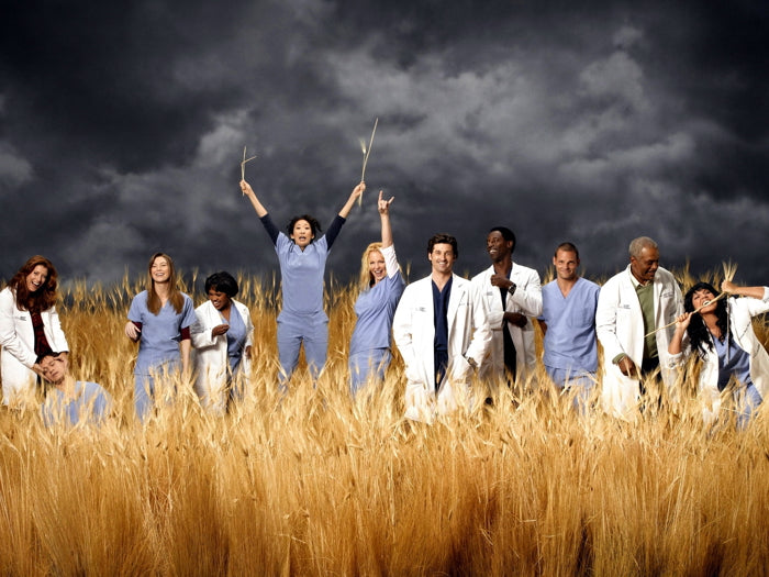 Grey's Anatomy Characters Cast Funny Amazing Tv Series Wall Art Print Poster