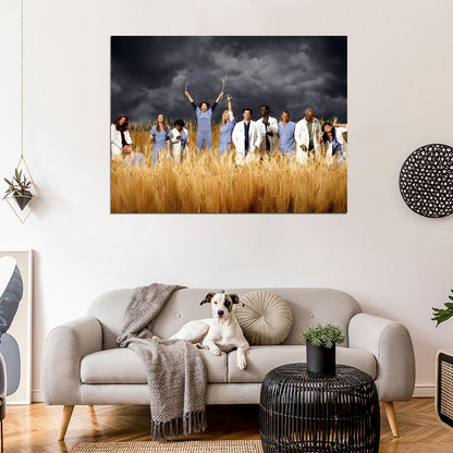 Grey's Anatomy Characters Cast Funny Amazing Tv Series Wall Art Print Poster
