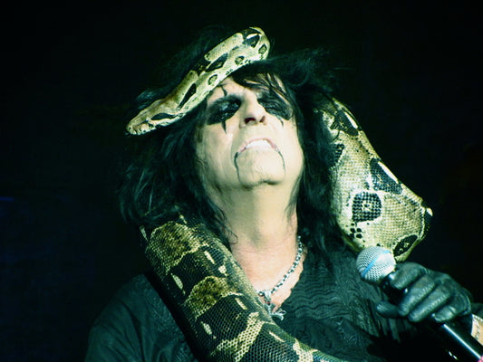 Alice Cooper Snake Hard Rock Music Singer Wall Art Print Poster
