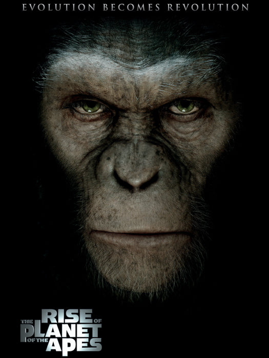 Rise Of The Planet Of The Apes Caesar Movie Wall Art Print Poster