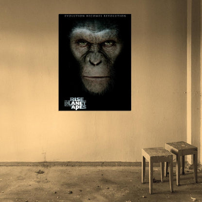 Rise Of The Planet Of The Apes Caesar Movie Wall Art Print Poster