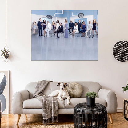 Grey's Anatomy Tv Series Wall Art Print Poster