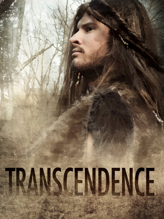 Transcendence Painting Art Movie Wall Art Print Poster