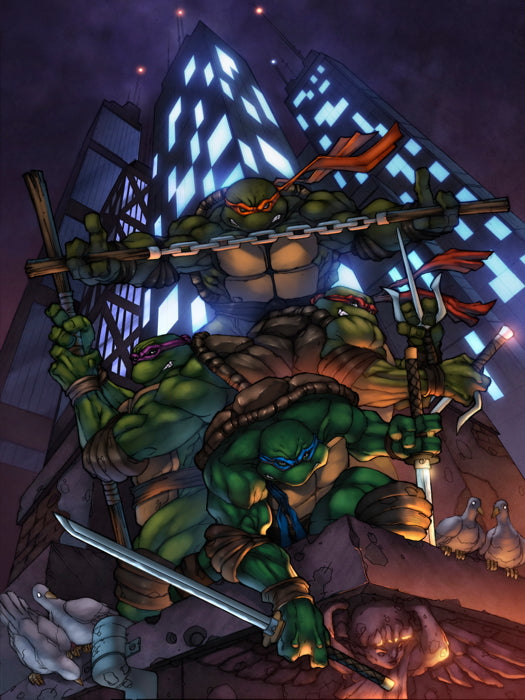 Teenage Mutant Ninja Turtles Cool Art TMNT Wall Art Print Poster