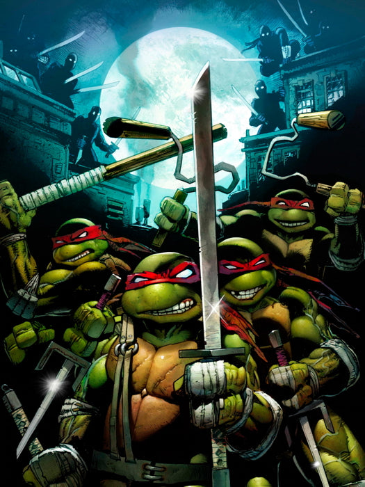 Teenage Mutant Ninja Turtles Red Masks Art TMNT Wall Art Print Poster