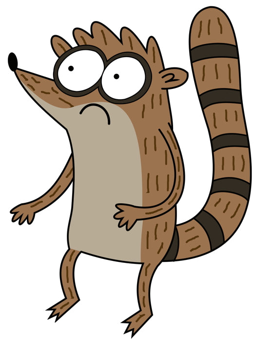 Rigby Cool The Regular Show Cartoon TV Series Art Wall Art Print Poster
