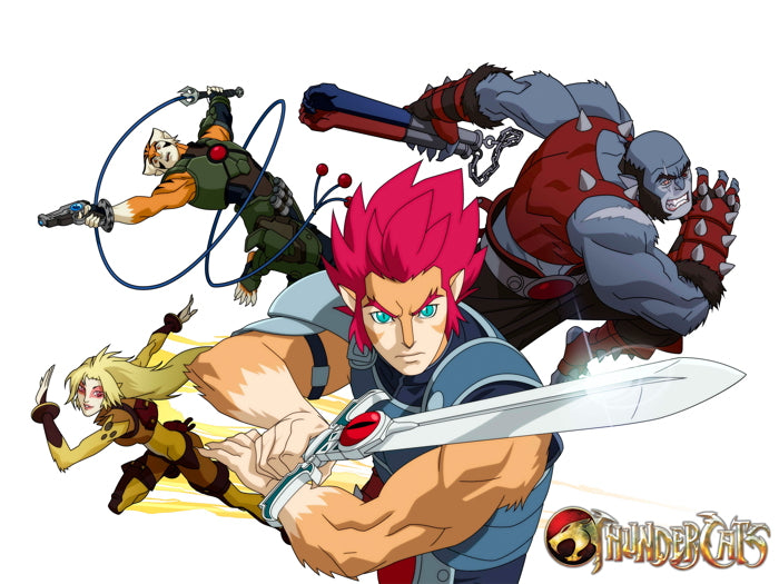 ThunderCats Characters Cartoon TV Series Amazing Art Wall Art Print Poster