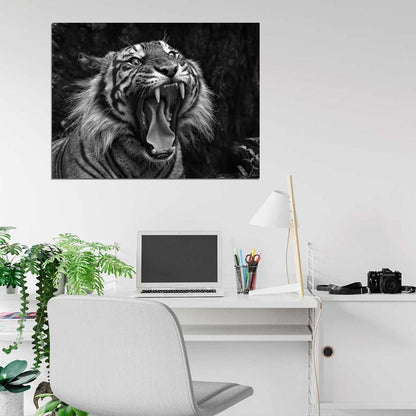 Tiger Roar Wild Cat Nature Beautiful Awesome BW Wall Art Print Poster