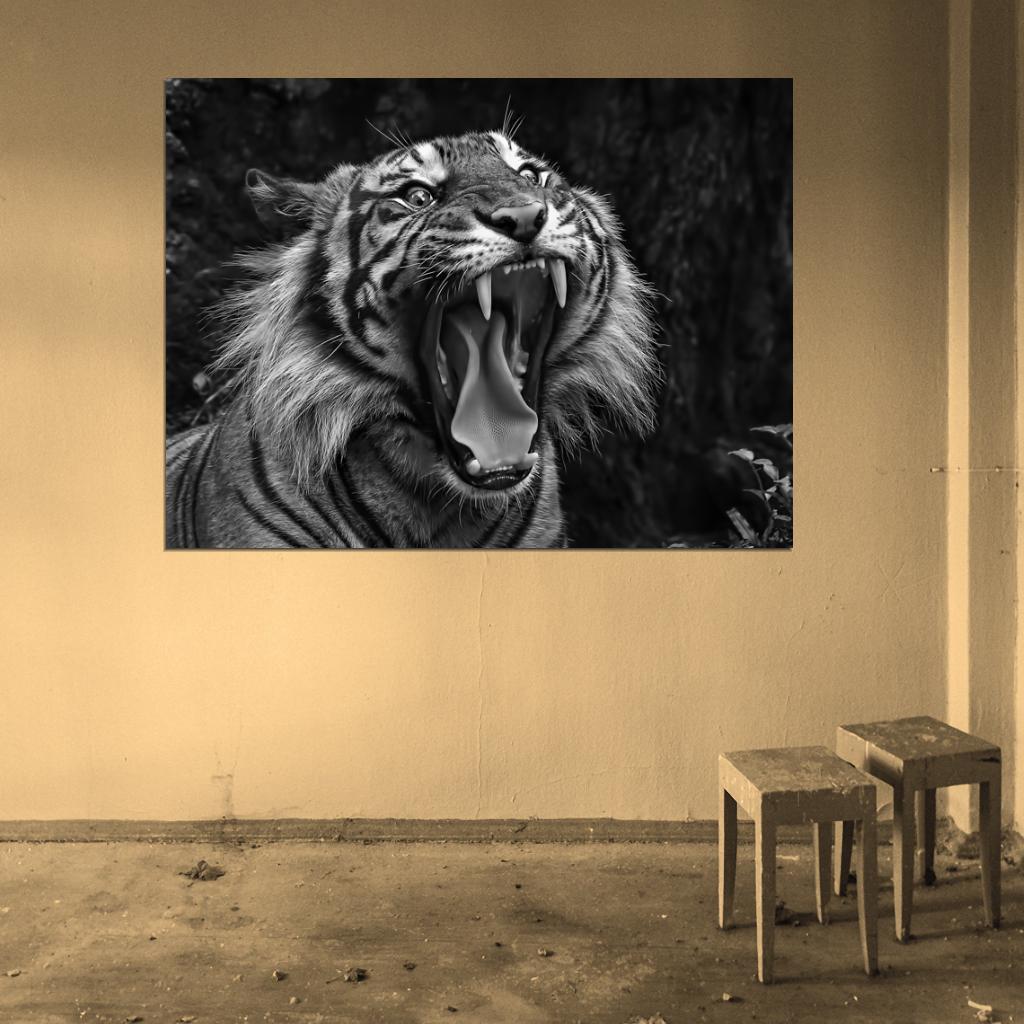 Tiger Roar Wild Cat Nature Beautiful Awesome BW Wall Art Print Poster