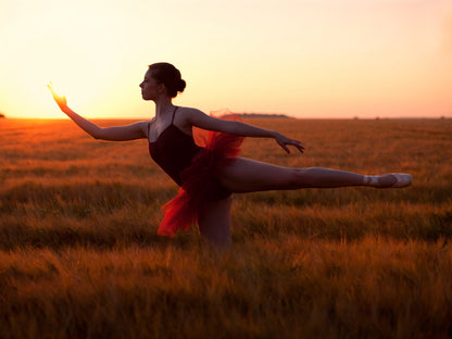 Ballet Dancer Ballerina Beautiful Girl Sunset Wall Art Print Poster