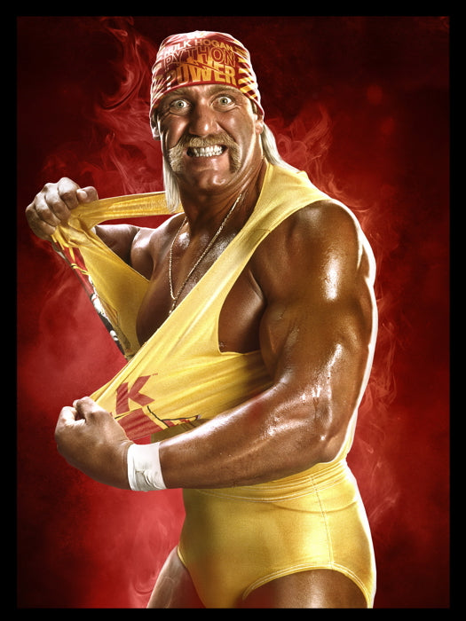 Hulk Hogan Wrestling Terry Gene Bollea Sport Wall Art Print Poster