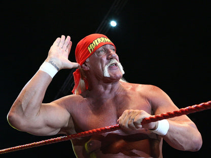 Hulk Hogan Wrestling Champion Terry Gene Bollea Sport Wall Art Print Poster