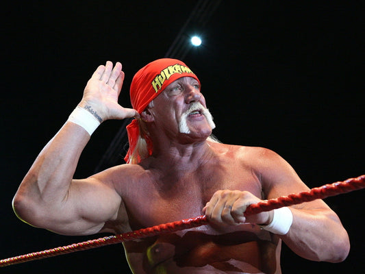 Hulk Hogan Wrestling Champion Terry Gene Bollea Sport Wall Art Print Poster