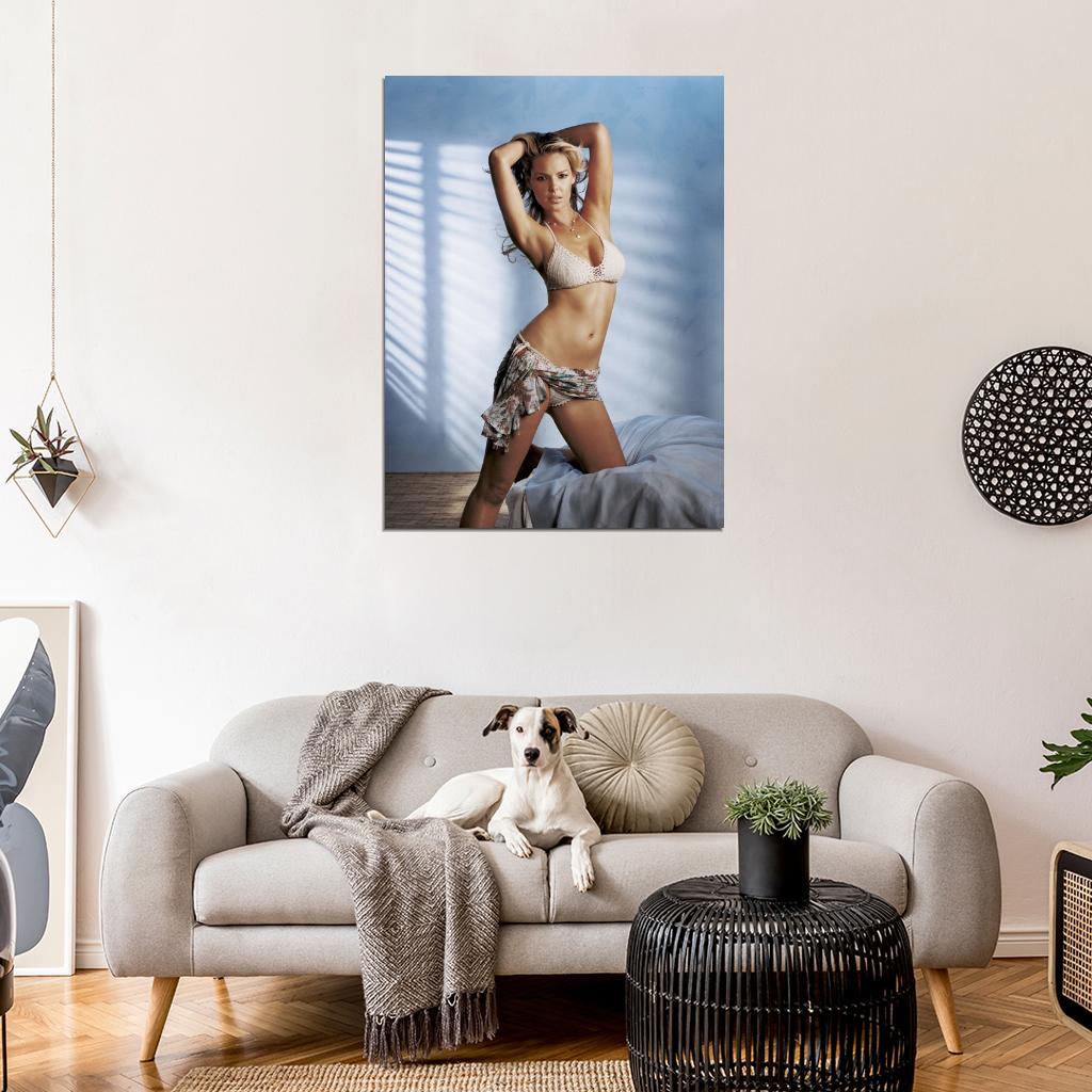 Katherine Heigl Hot Lingerie Sexy Actress Wall Art Print Poster