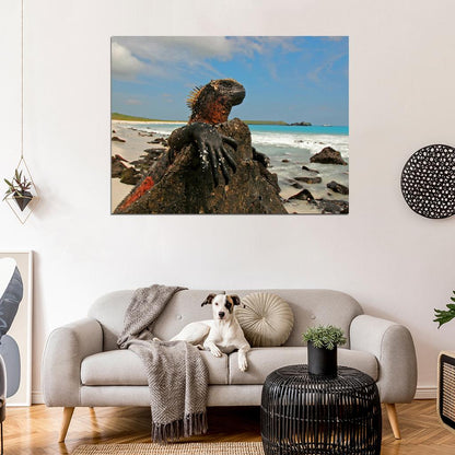 Marine Iguana Galapagos Islands Lizard Beautiful Animal Nature Wall Art Print Poster