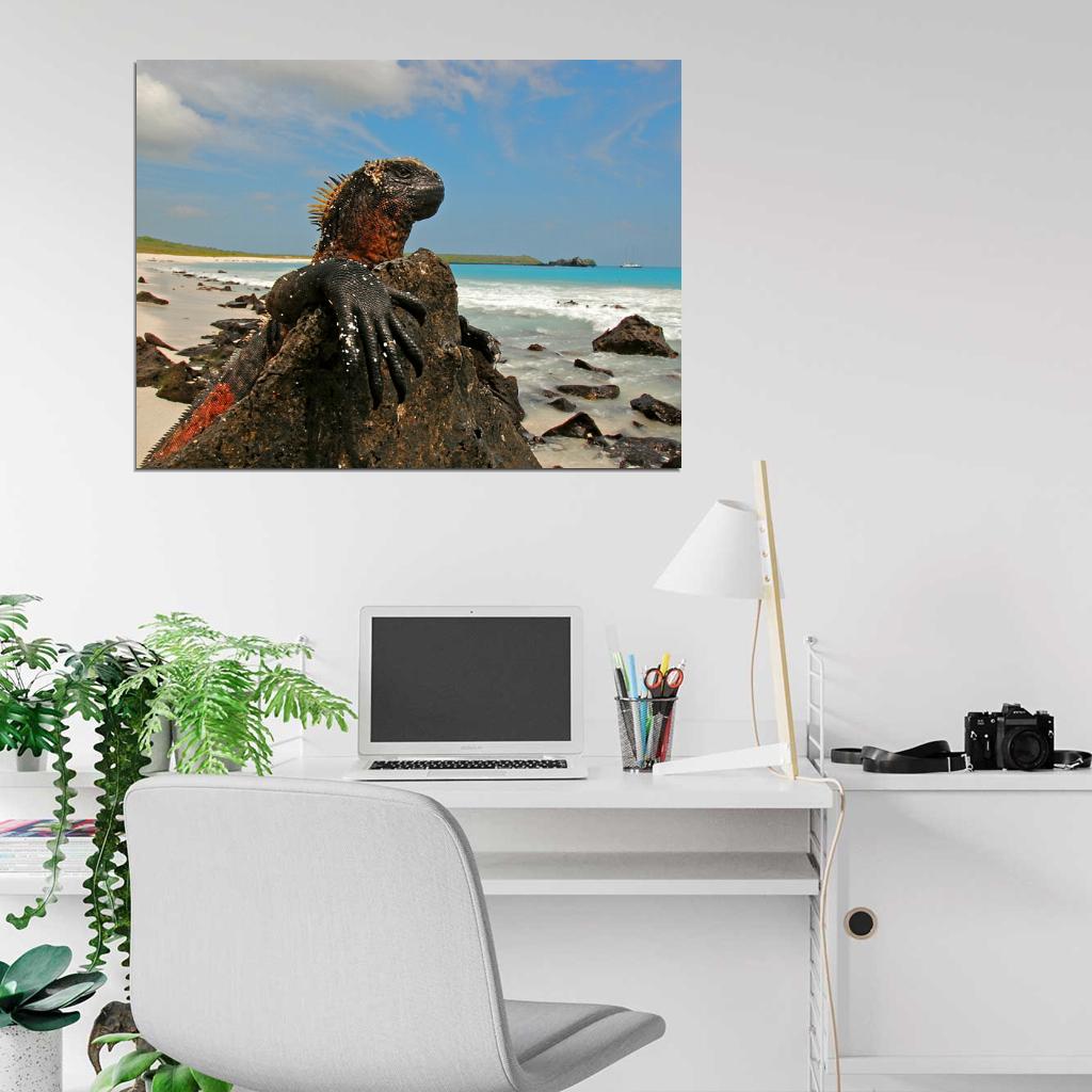 Marine Iguana Galapagos Islands Lizard Beautiful Animal Nature Wall Art Print Poster