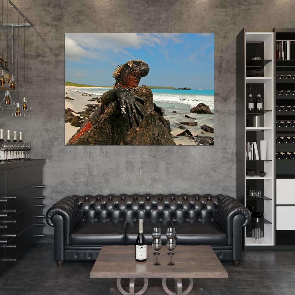 Marine Iguana Galapagos Islands Lizard Beautiful Animal Nature Wall Art Print Poster