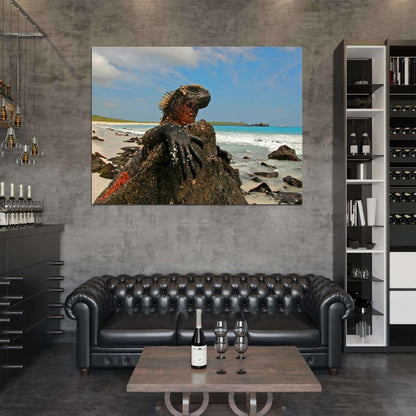 Marine Iguana Galapagos Islands Lizard Beautiful Animal Nature Wall Art Print Poster