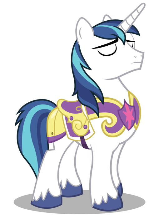 Shining Armor My Little Pony Friendship Is Magic Cute Beautiful Cartoon Art Wall Art Print Poster