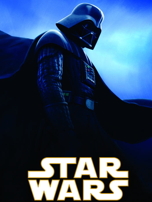Darth Vader Anakin Skywalker Star Wars Movie Awesome Art Wall Art Print Poster