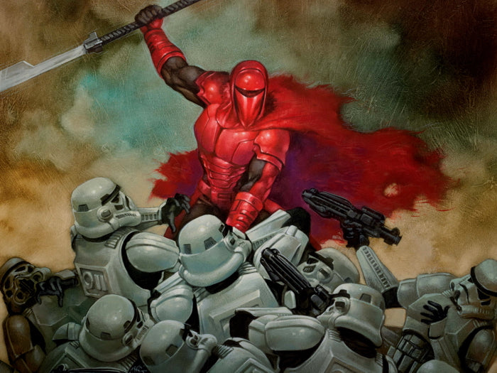 Stormtroopers Emperor's Royal Imperial Guard Battle Star Wars Movie Awesome Painting Art Wall Art Print Poster
