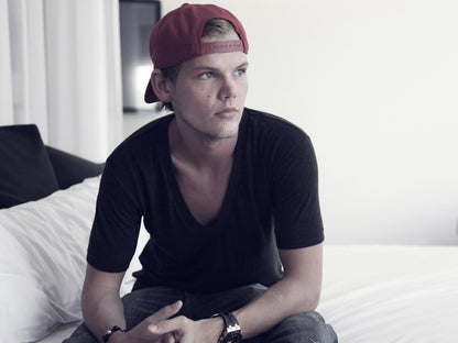 Avicii DJ Electro House Music Wall Art Print Poster