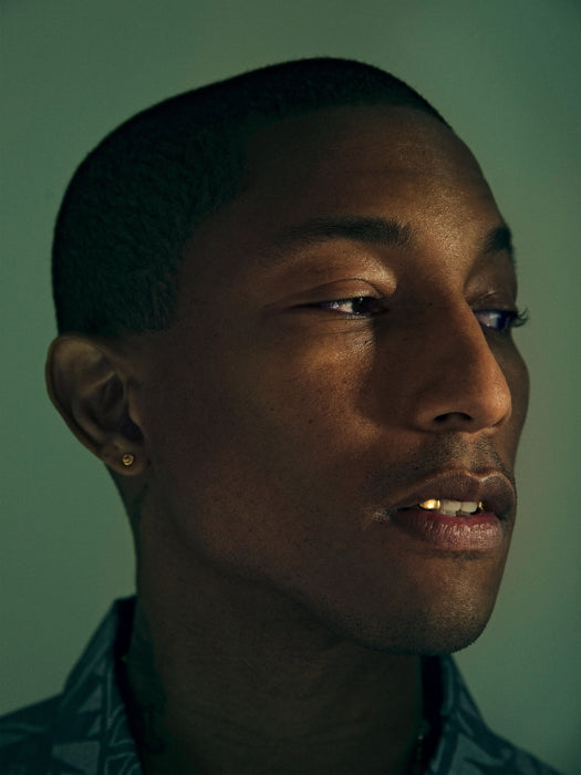 Pharrell Williams Portrait Hip Hop R&B Music Singer Wall Art Print Poster