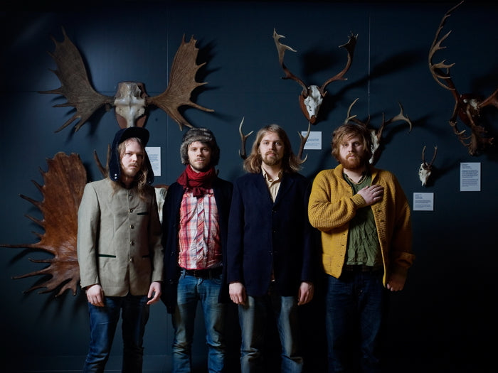 Phoenix Alternative Rock Band Music Wall Art Print Poster