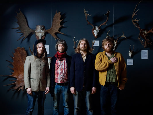 Phoenix Alternative Rock Band Music Wall Art Print Poster