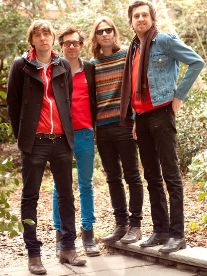 Phoenix Alternative Rock Band Music Wall Art Print Poster