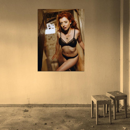 Alyson Hannigan Hot Lingerie Sexy Body Actress Wall Art Print Poster