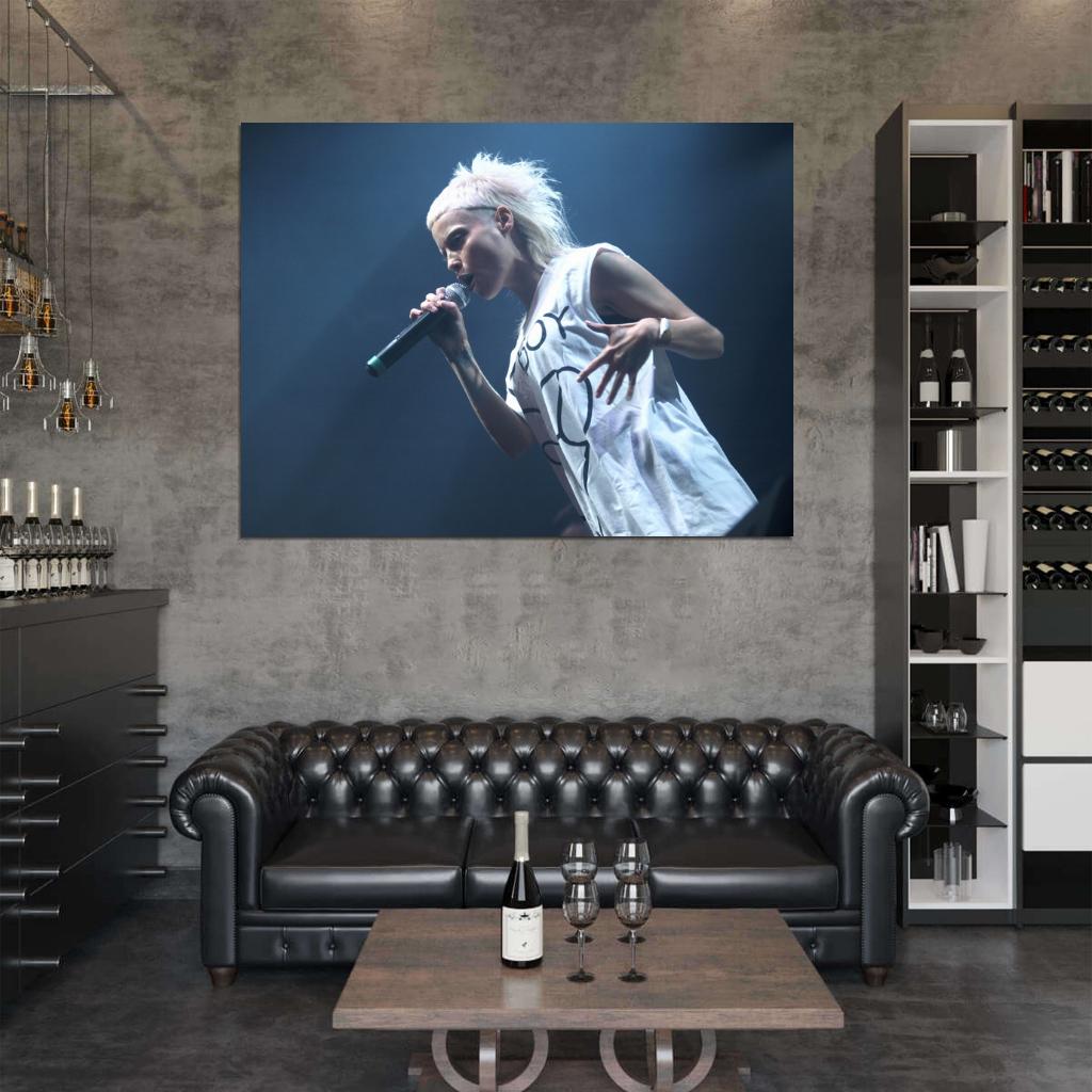 Yo-Landi Vi$$er Stage Concert Die Antwoord Rap-Rave Band Yolandi Visser Alternative Hip-Hop Music Wall Art Print Poster