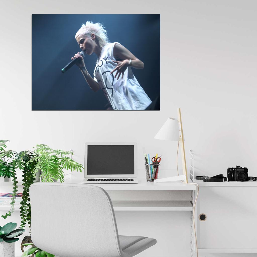 Yo-Landi Vi$$er Stage Concert Die Antwoord Rap-Rave Band Yolandi Visser Alternative Hip-Hop Music Wall Art Print Poster