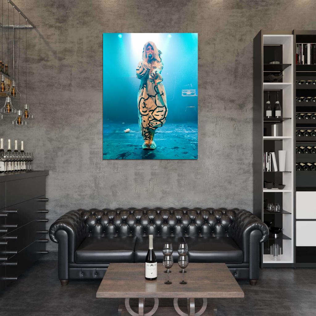Yo-Landi Vi$$er Stage Concert Die Antwoord Rap-Rave Band Yolandi Visser Alternative Hip-Hop Music Wall Art Print Poster