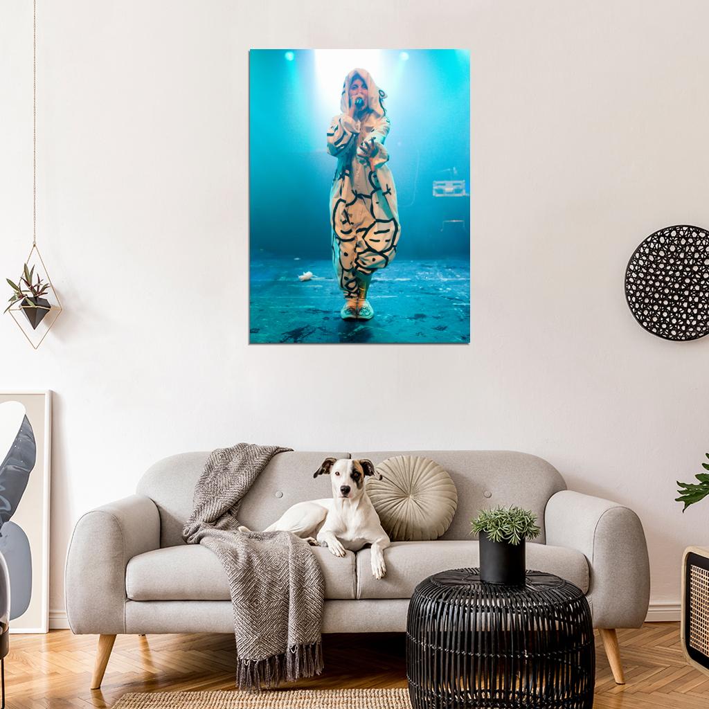 Yo-Landi Vi$$er Stage Concert Die Antwoord Rap-Rave Band Yolandi Visser Alternative Hip-Hop Music Wall Art Print Poster