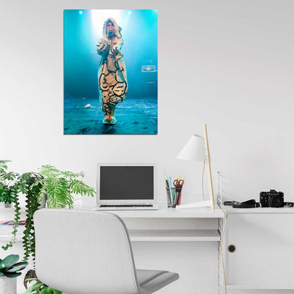 Yo-Landi Vi$$er Stage Concert Die Antwoord Rap-Rave Band Yolandi Visser Alternative Hip-Hop Music Wall Art Print Poster