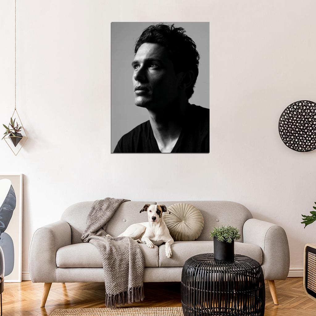 James Franco Handsome Actor Hot Portrait BW Wall Art Print Poster