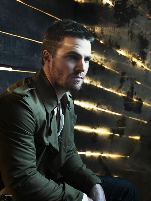 Stephen Amell Handsome Movie Actor Wall Art Print Poster