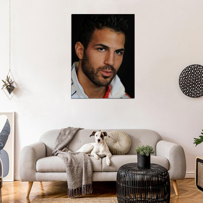 Cesc Fabregas Portrait Spain Football Soccer Sport Wall Art Print Poster