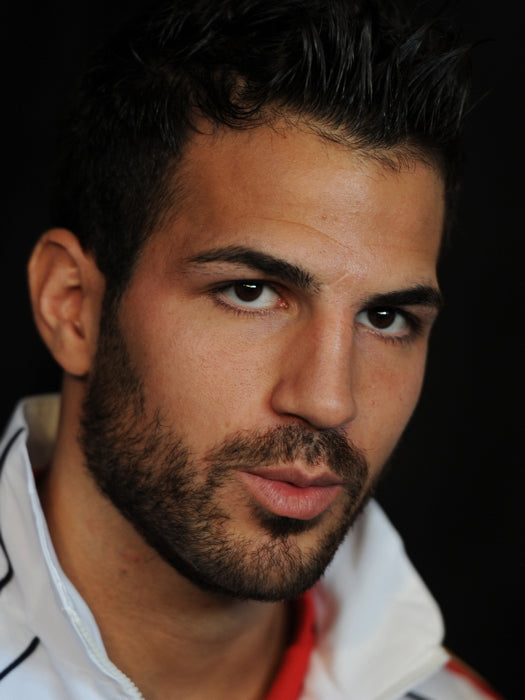 Cesc Fabregas Portrait Spain Football Soccer Sport Wall Art Print Poster