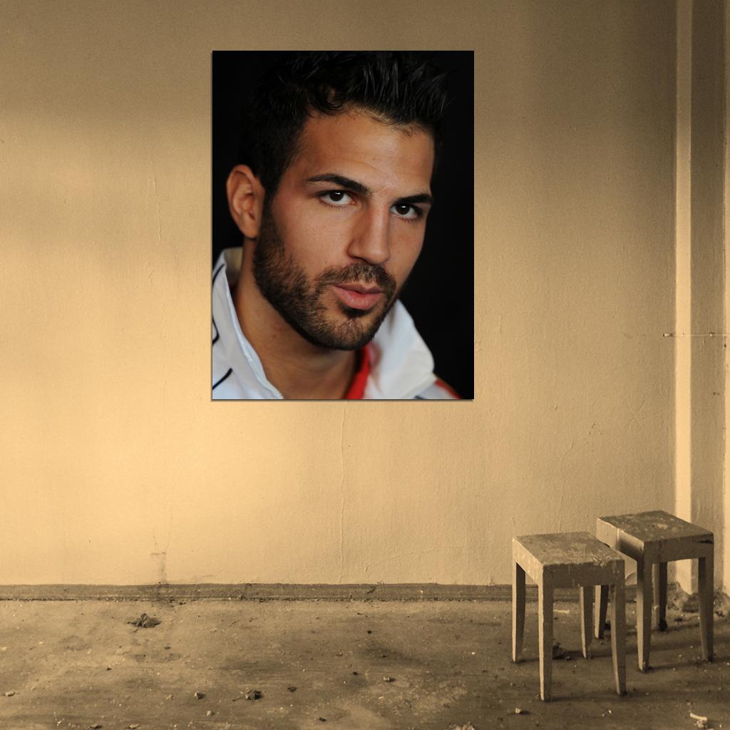 Cesc Fabregas Portrait Spain Football Soccer Sport Wall Art Print Poster