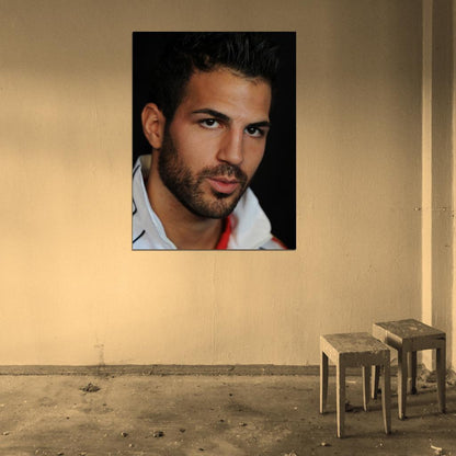 Cesc Fabregas Portrait Spain Football Soccer Sport Wall Art Print Poster
