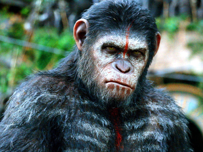 Dawn of The Planet of The Apes Caesar Andy Serkis Wall Art Print Poster