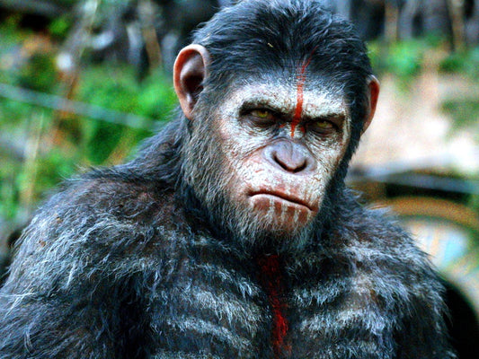 Dawn of The Planet of The Apes Caesar Andy Serkis Wall Art Print Poster