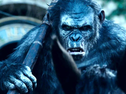 Dawn of The Planet of The Apes Koba 2014 Movie Wall Art Print Poster