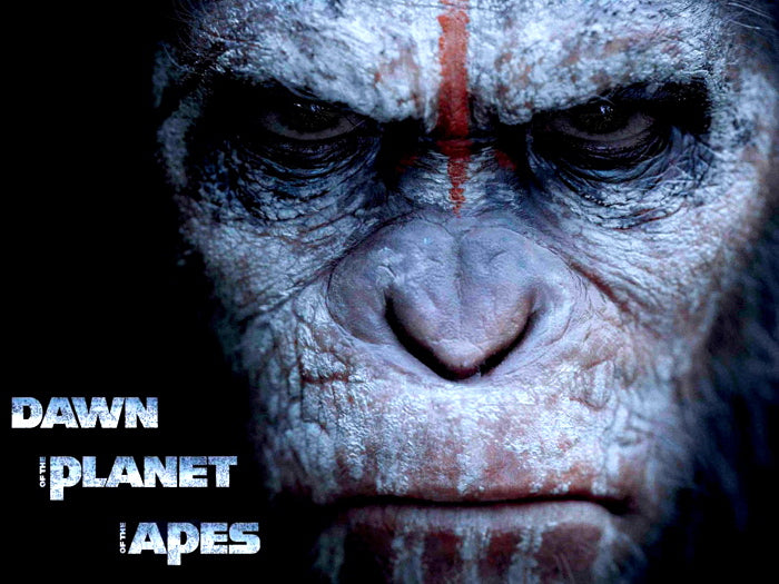 Dawn of The Planet of The Apes Caesar Andy Serkis Wall Art Print Poster