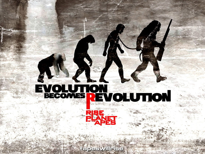 Rise of the Planet of the Apes Evolution Art Movie Wall Art Print Poster