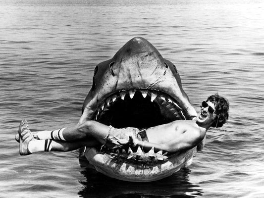 Jaws Steven Spielberg Behind the Scenes Movie Rare Wall Decor Room Print Retro Vintage Poster