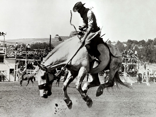 Rodeo Horse Rare Old BW Wall Decor Room Print Retro Vintage Poster