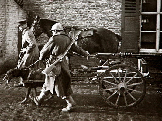 Dog Machine Gun Soldiers Rare WWI WW1 War Old BW Wall Decor Room Print Retro Vintage Poster